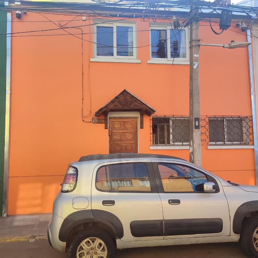 Hostal Gatos De Campo, Tiernos Y Traviesos